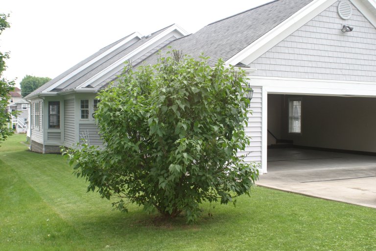 Back of the House